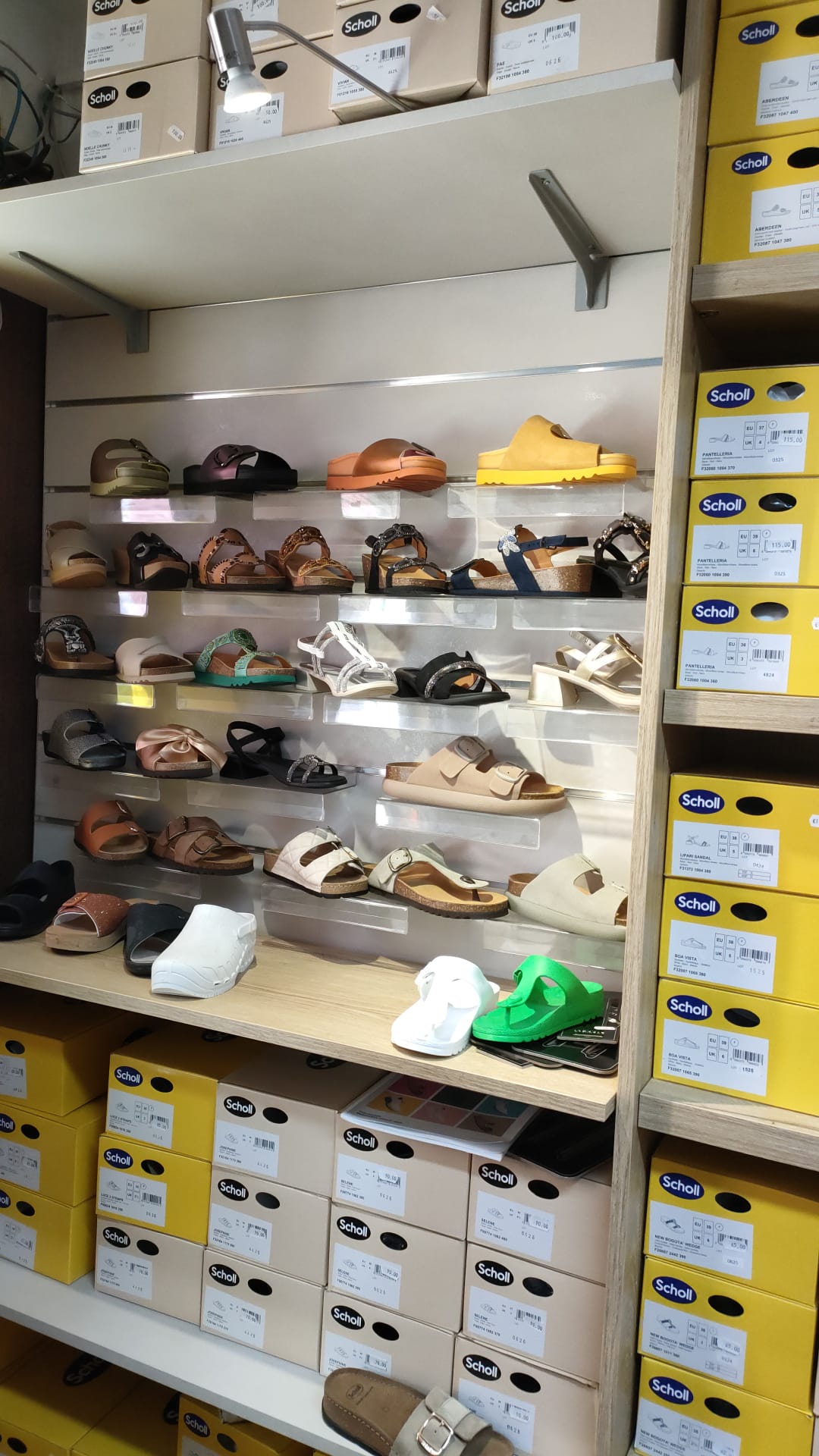 Scarpe Scholl